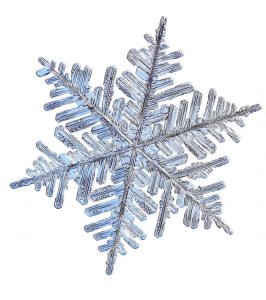 snowflake - WIM HOF METHOD